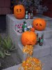 drunk pumpkin.jpg