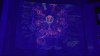 lost_blacklight.jpg